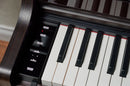 Celviano AP-550 Digital Piano