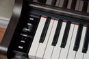 Celviano AP-550 Digital Piano (Pre-Order)
