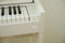 Celviano AP-S450 Digital Piano (Pre-Order)