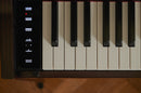 Celviano AP-S450 Digital Piano