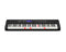 Casiotone LK-S450 Lighting Keyboard